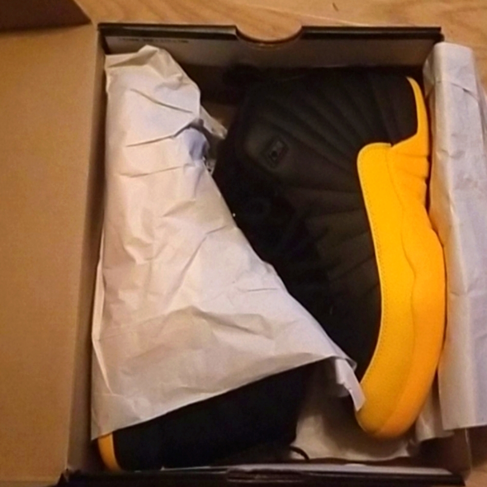 Jordan 12 Retro shoes